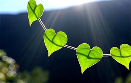 济南心理咨询：人人都有解不开的心结