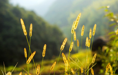 身体说：不要囚禁情绪，否则我就让你好看！