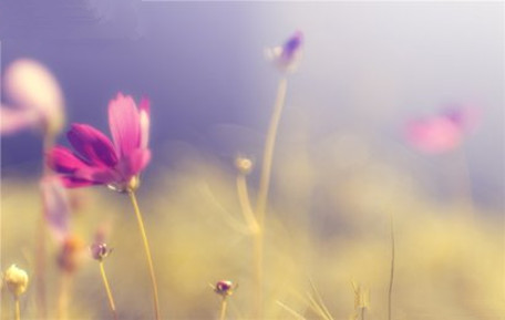 心理咨询师教你如何成为一个有感觉的人