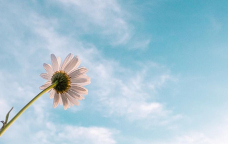 如何在哀伤中保护婚姻?